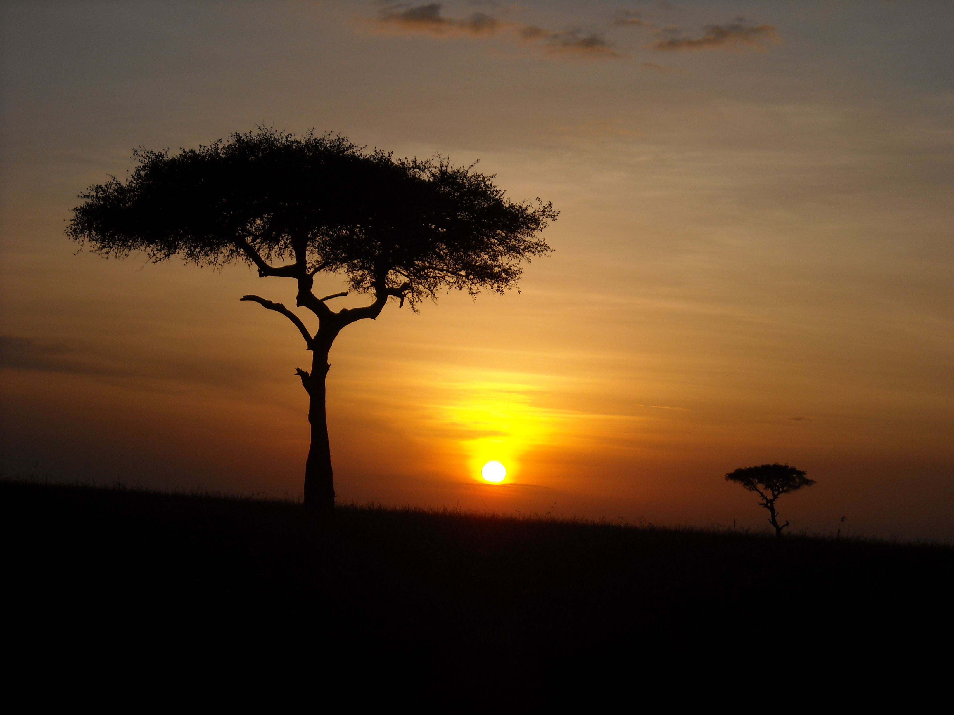 solnedgång i Masai Mara